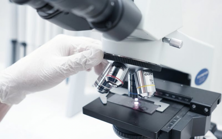 pexels indraprojectsofficial